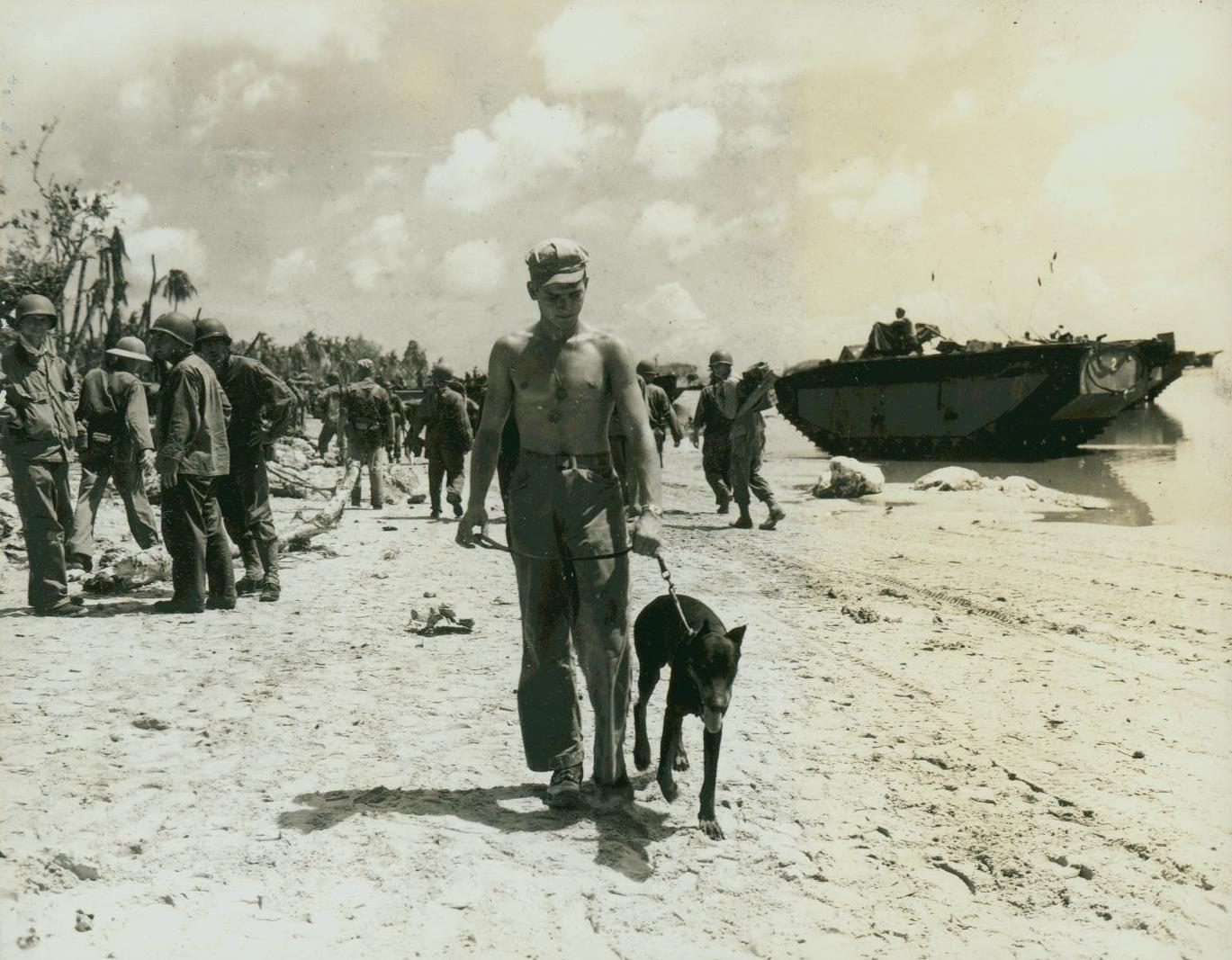 1944年グアムの軍用犬ドーベルマンとハンドラー