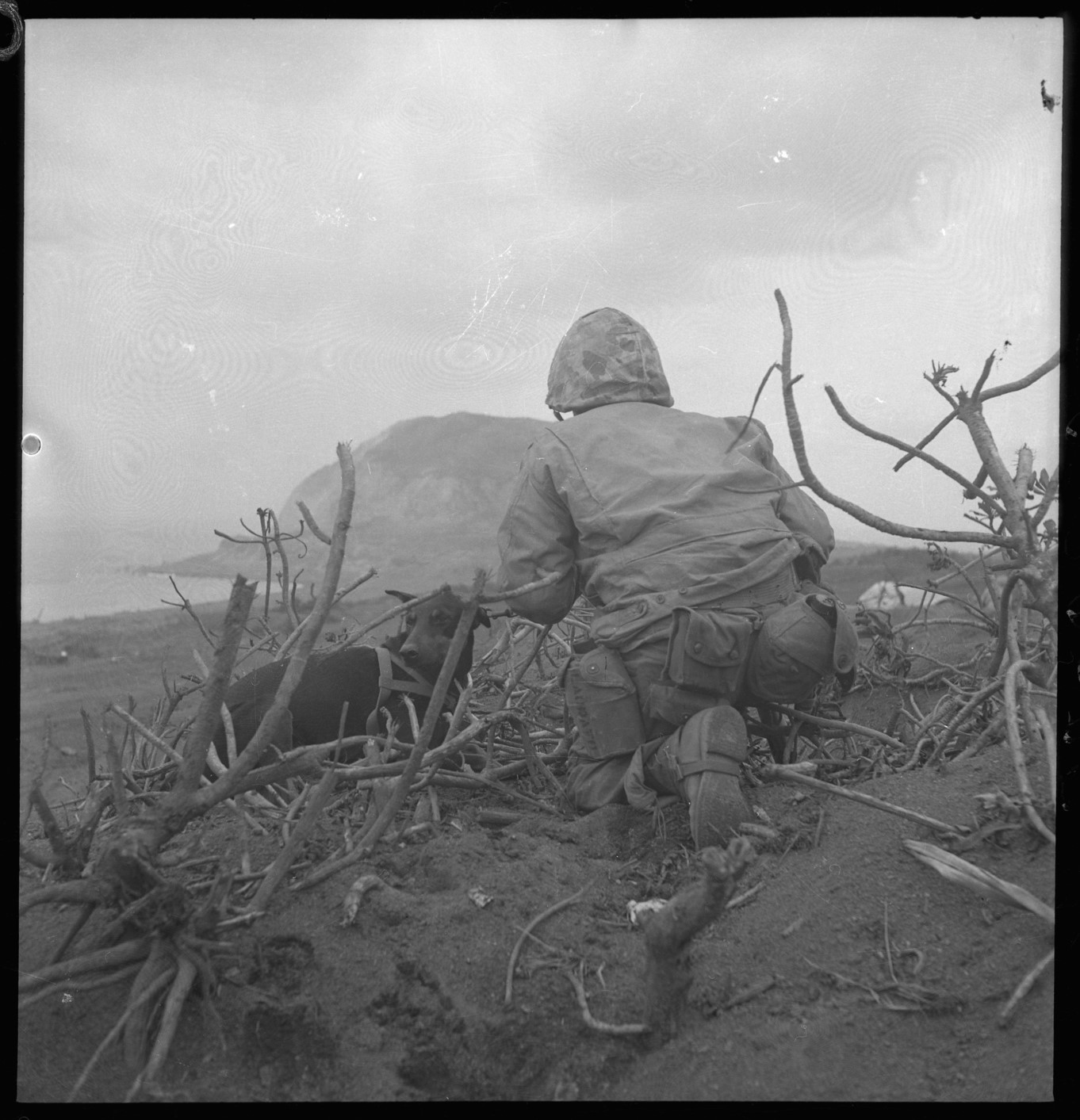 海兵隊のドーベルマン軍用犬とハンドラー1945年
